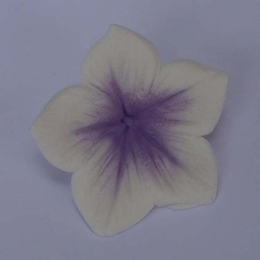 Colours Dust Lavanda 7g - JustAddLove